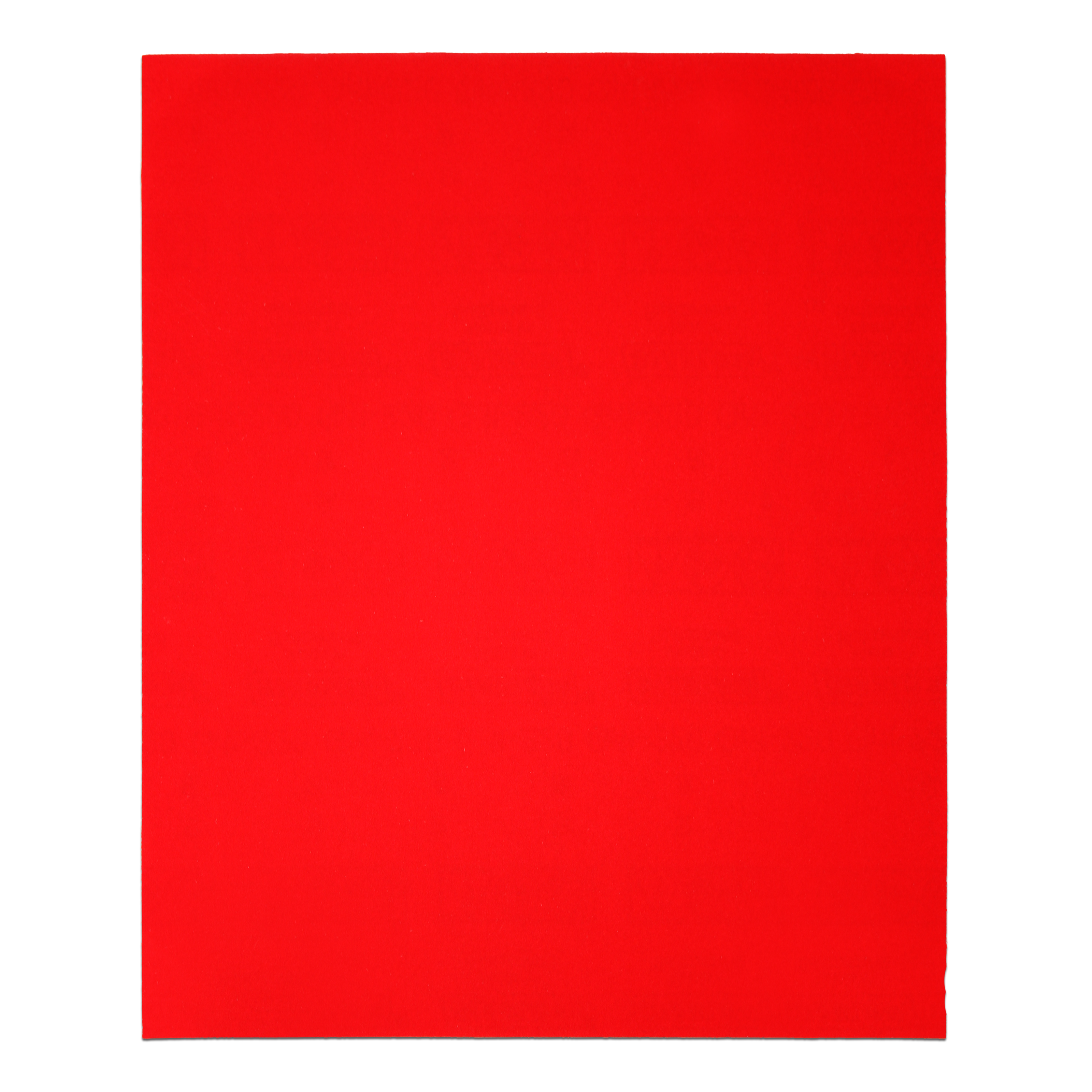 Diablo 9 in. x 11 in. Sanding Sheet