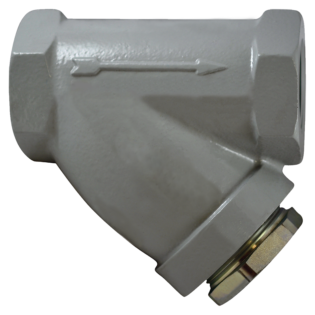 SC0125B112AD 20S (Paget Strainer) Strainer 1 1/4 Sty B Scrn 20Msh Ss Plug