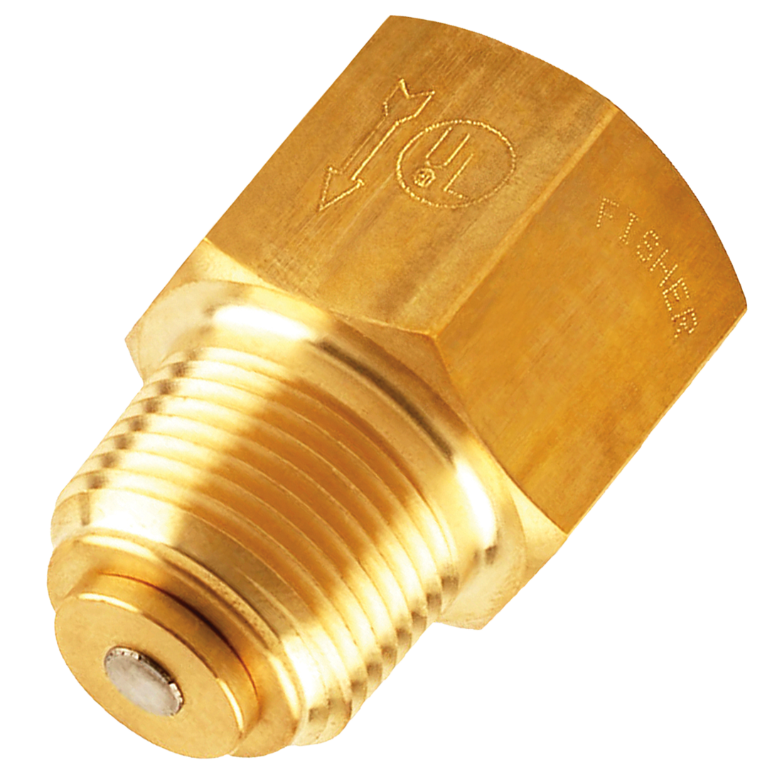 G100 (Fisher) Valve Bck Check 3/4Mpt X 3/4Fpt Br 21Gpm