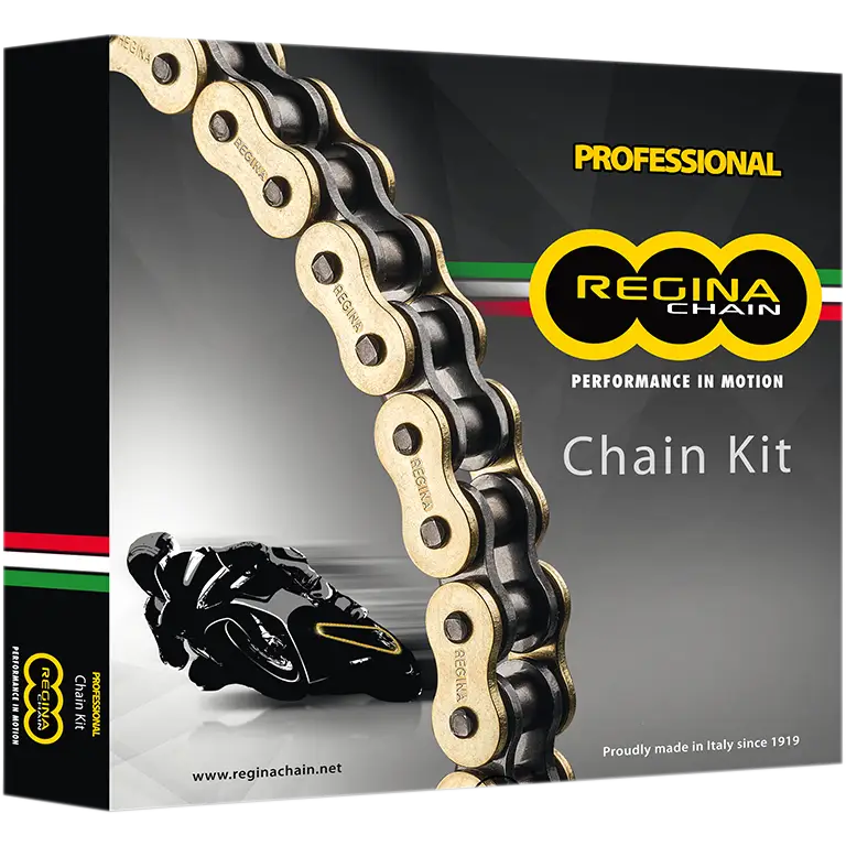 REGINA Chain and Sprocket Kit   Honda   XR 650L   '93 '18 135ZRE/110KHO035