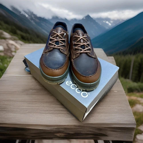 Ecco Men's Shoe  Track 2  Size 49 (15 15.5)  Bison Brown  Gore Tex  Low Top