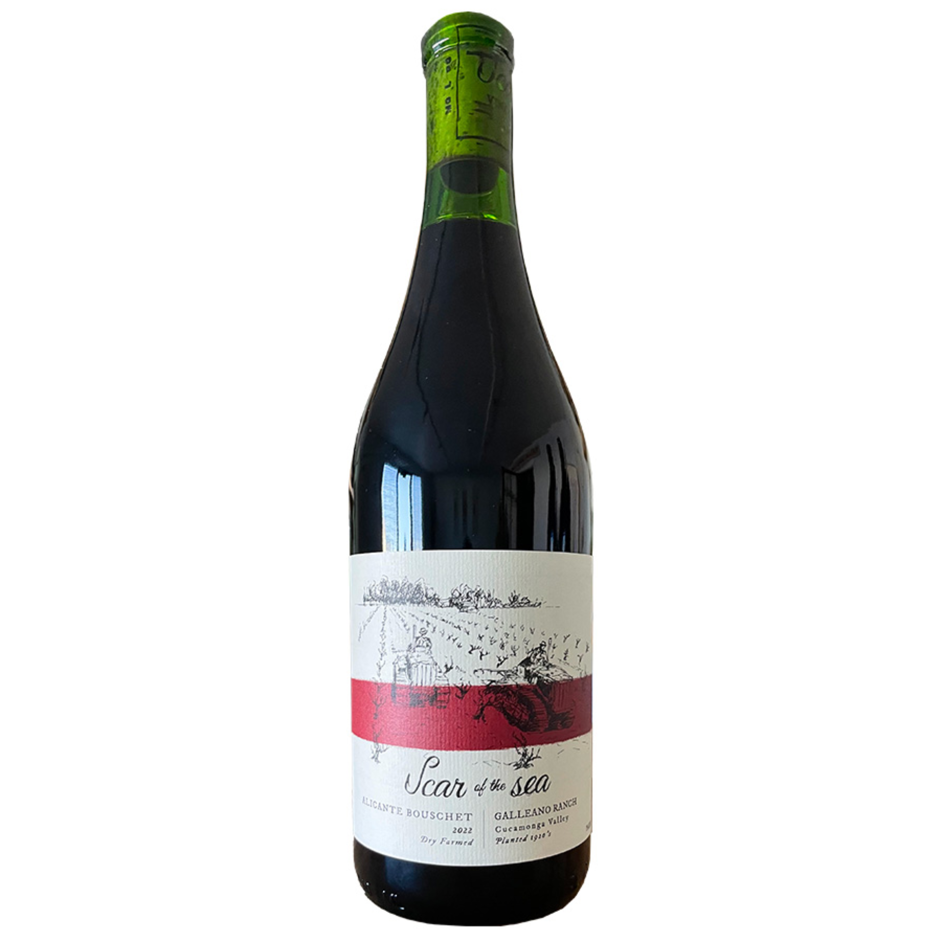 2022 Scar of the Sea "Galleano Ranch" Alicante Bouschet, Cucamonga Valley, California, USA