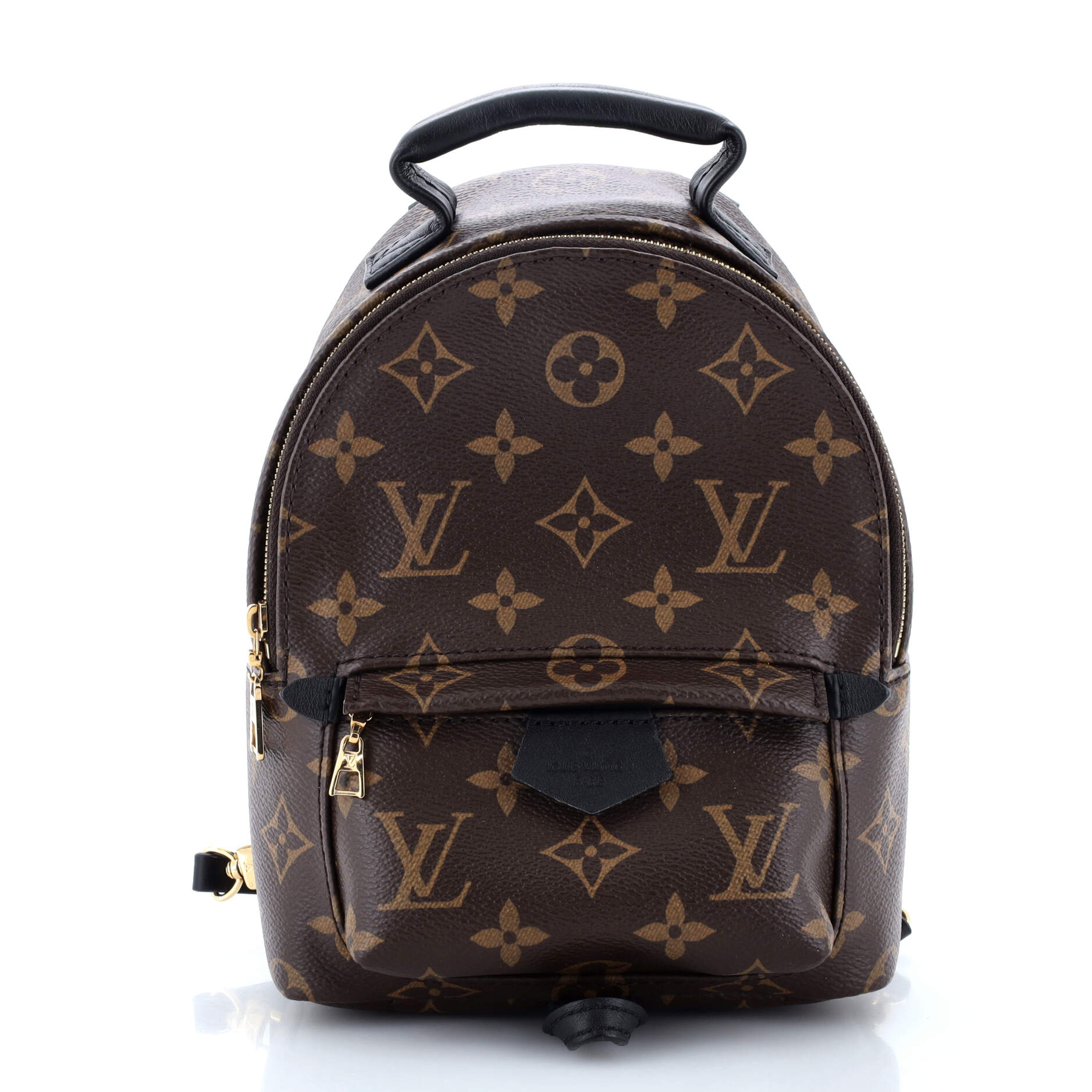 2860 Palm Springs Backpack Monogram Canvas Mini