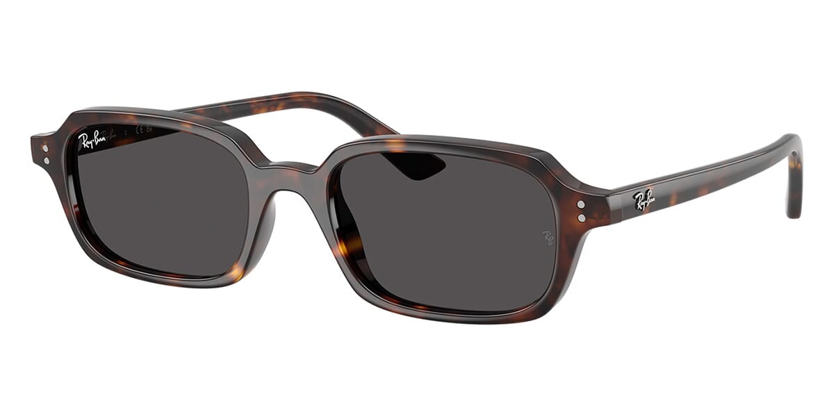 Ray Ban Zuri RB 4455 1359 87