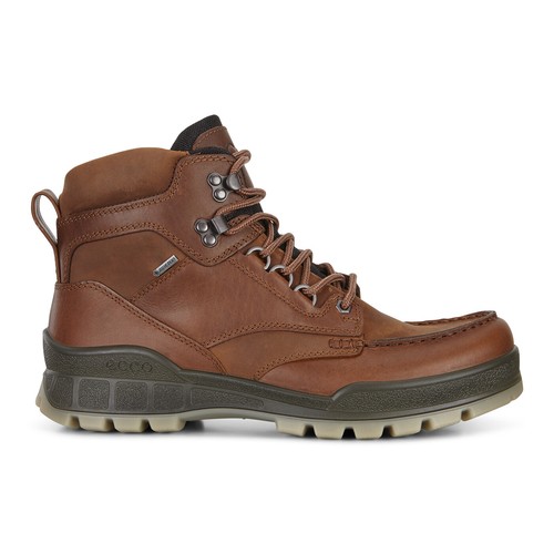 Men's ECCO Track 25 High Gore Tex Hiking Boot Waterproof Brown 831704 52600
