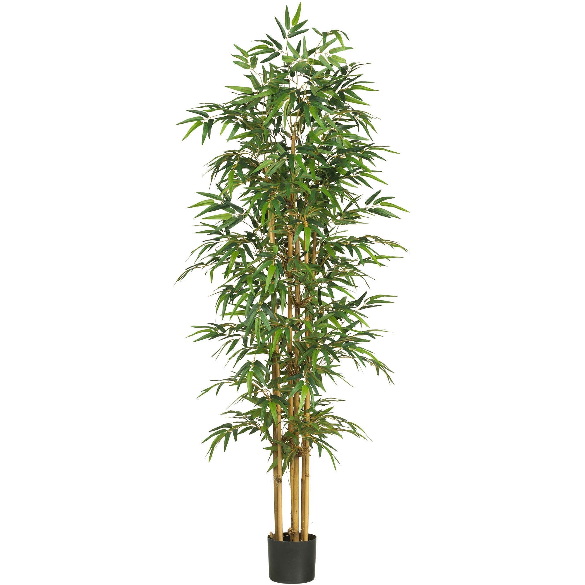 2736 75" Bamboo Tree w 1440 Lvs