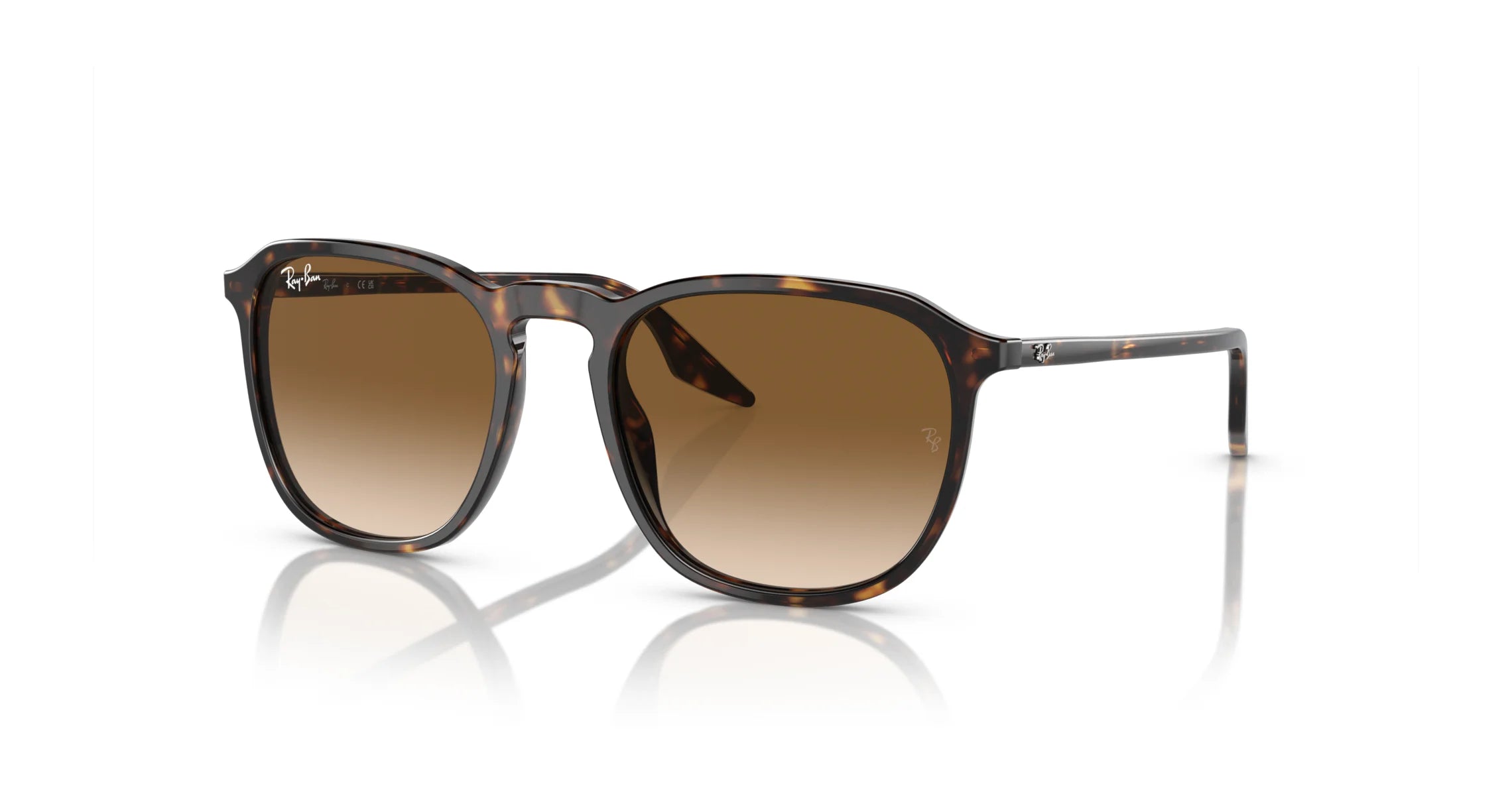 Ray Ban RB2203 Sunglasses