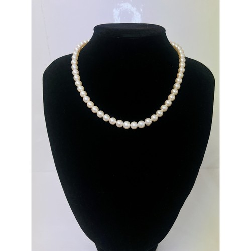 MICHAEL KORS Collana perle argento 7mm accessori donna occasioni cerimoniali usata LIAM 0