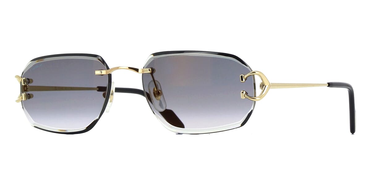 Cartier CT0468S 001
